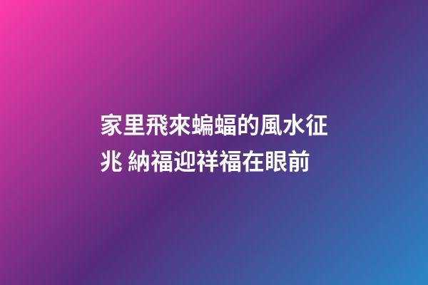家里飛來蝙蝠的風水征兆 納福迎祥福在眼前